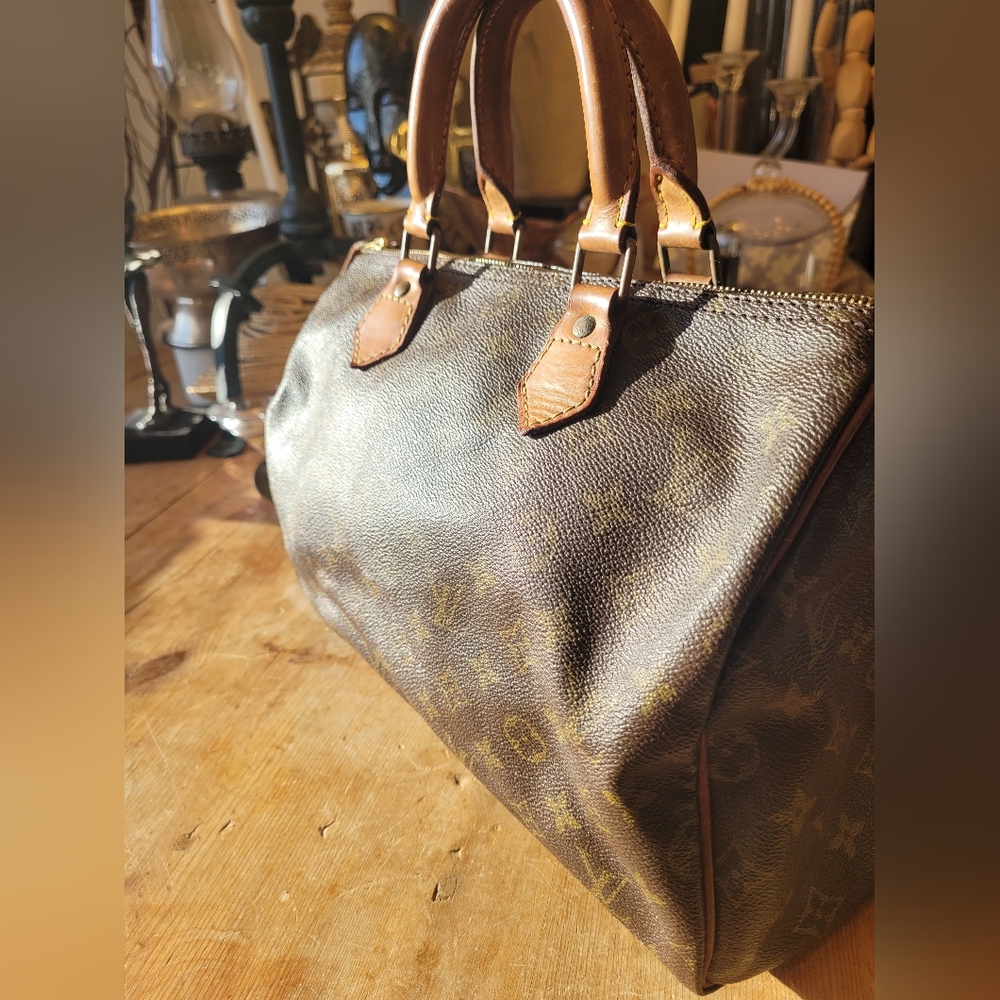 Louis Vuitton Monogram Speedy Bag